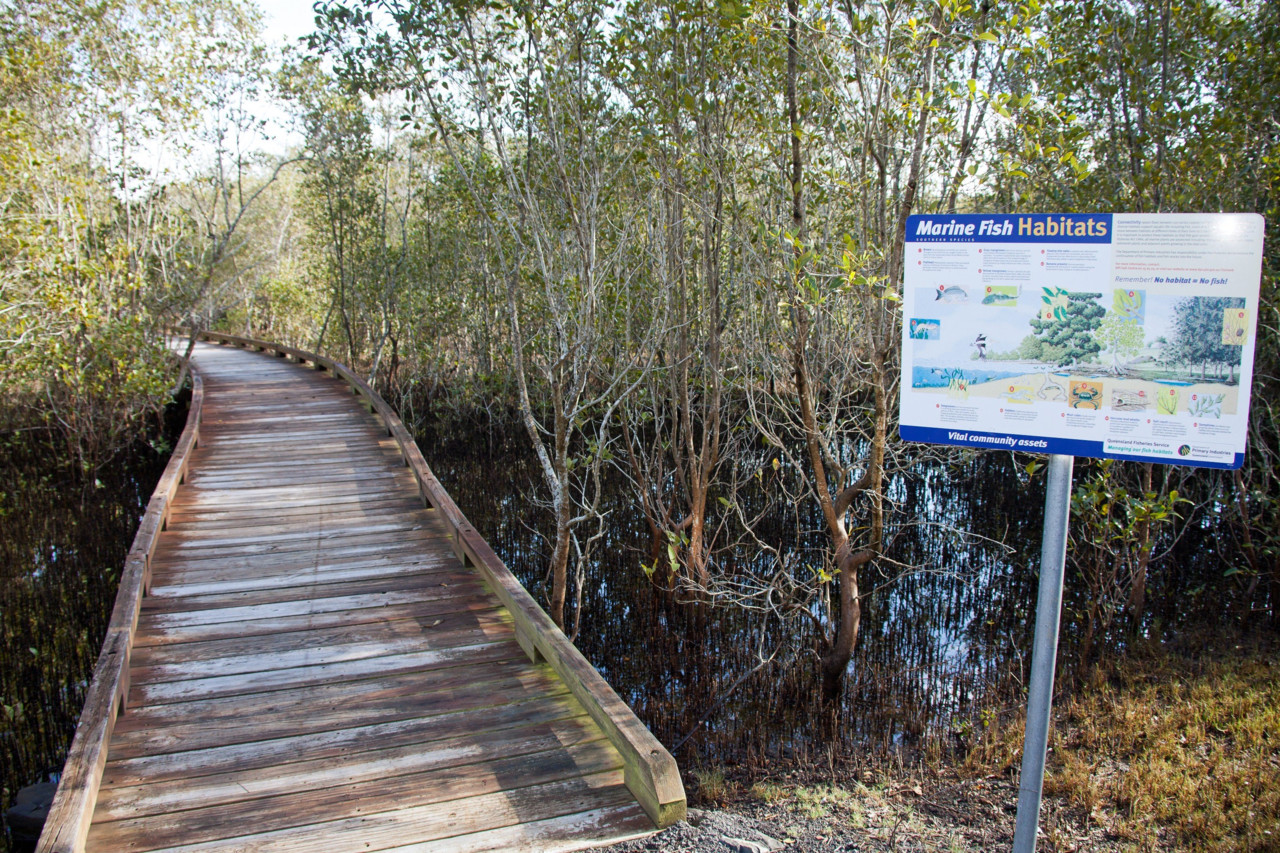 Gold Coast Tamborine Skywalk & Lakelands Private Day Tour