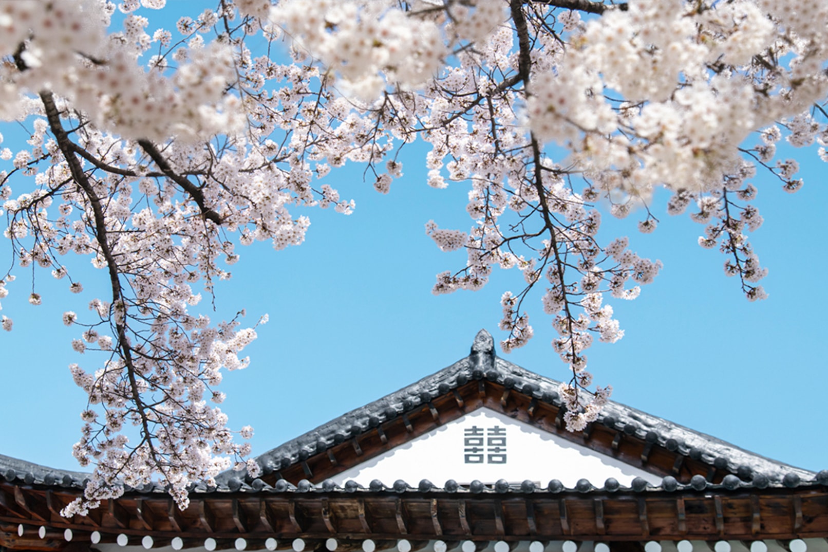 東鶴寺（Donghaksa Temple）