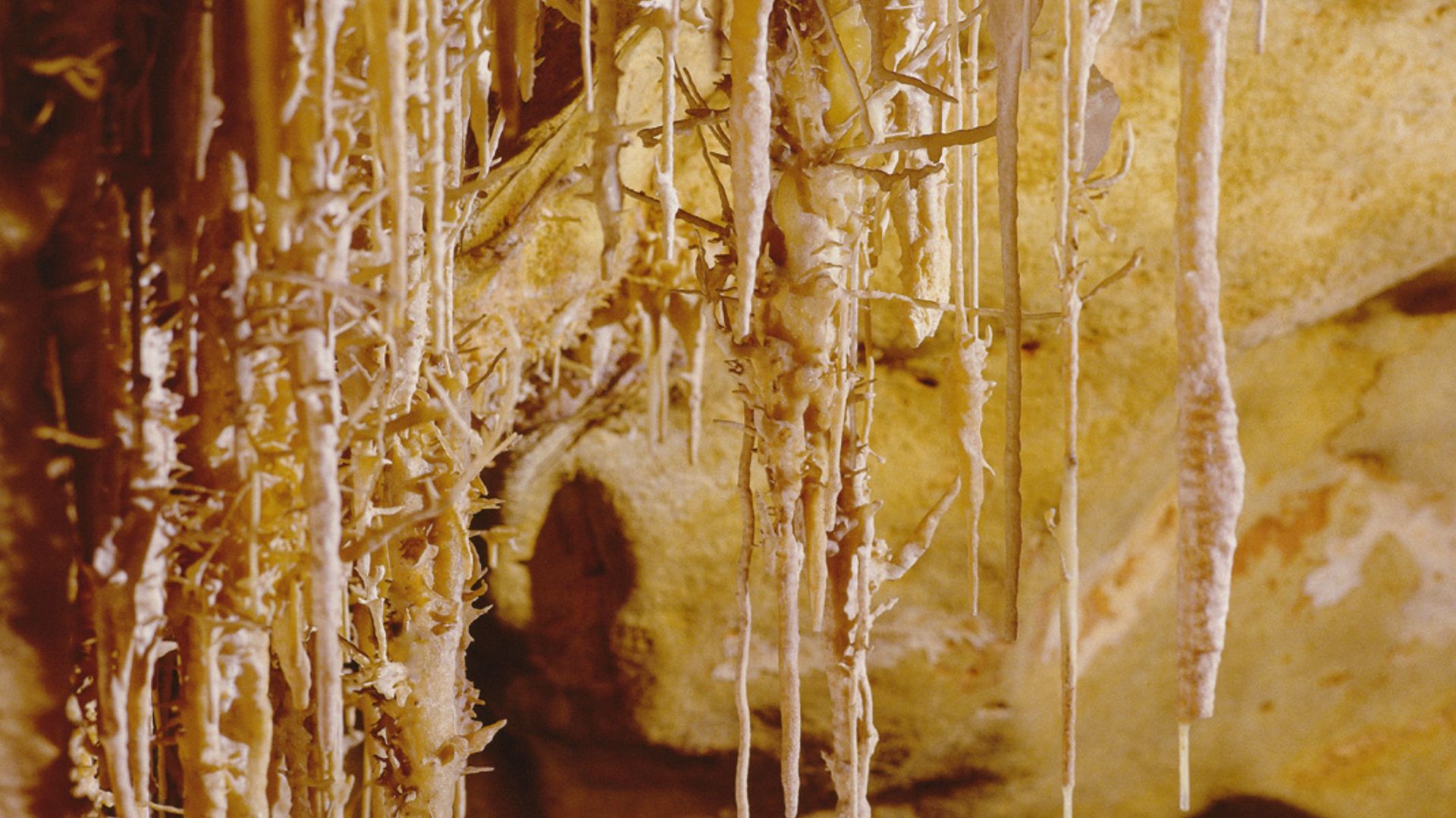 Marvel at the intricate stalactites and stalagmites formed over centuries inside the cave