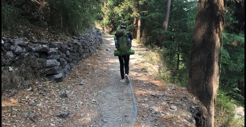 奈尼塔爾荒野徒步：4小時導覽徒步體驗