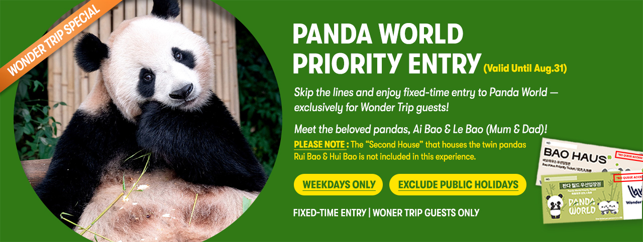 Everland Tour with Shuttle: Fast Panda World Entry (Ends 31/8)