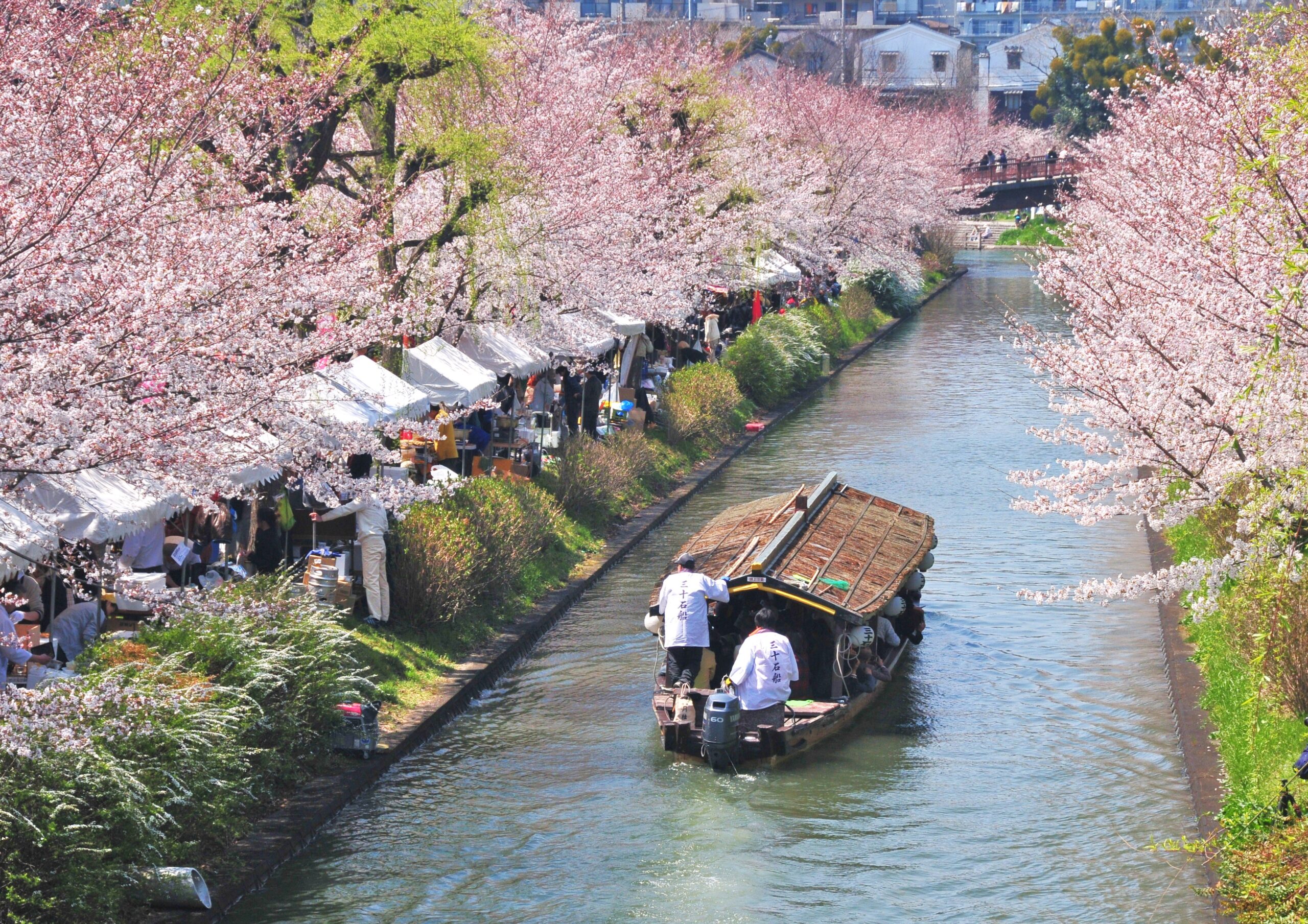大阪出發丨關西地區客製化包車一日遊（大阪/京都/奈良/神戶/和歌山）