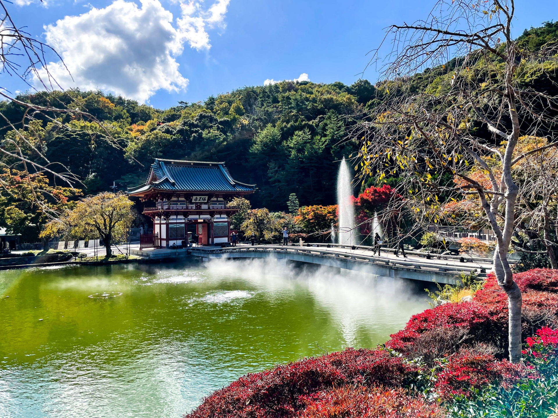 期間限定 淀川背割堤樱花祭  | 漫步1.4km櫻花隧道・宇治・勝尾寺・箕面大瀑布 