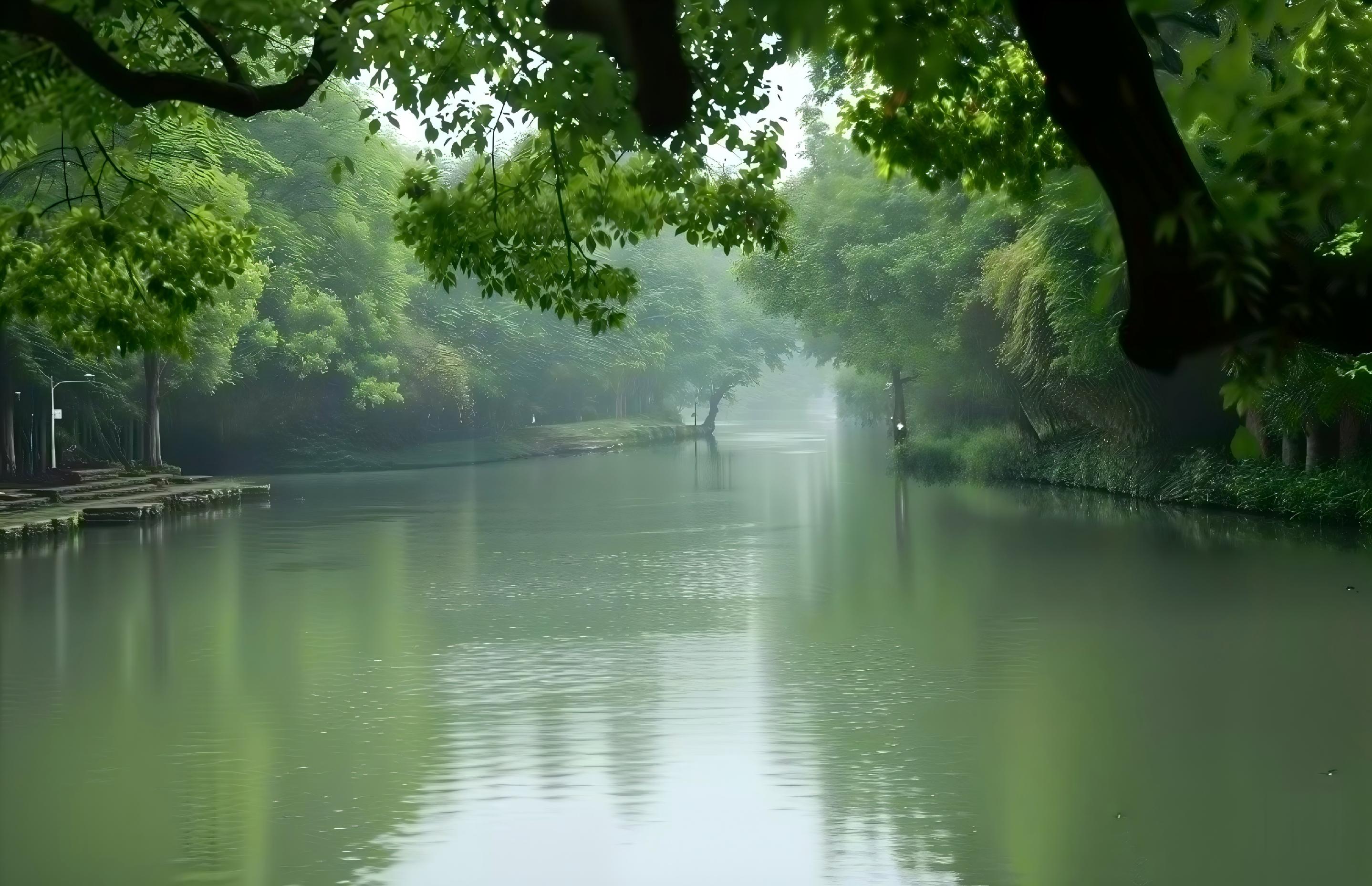 Hangzhou Xixi Wetland half-day private boat tour (including tea tasting & dining)