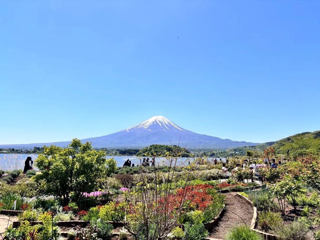 東京富士山一日遊｜富士山五合目・新倉山淺間公園・日川時計街・忍野八海・可選購伊勢龍蝦餐（東京出發）