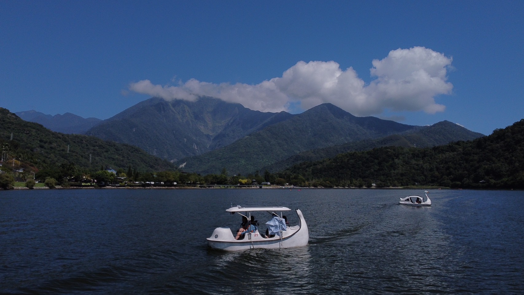 花蓮: 鯉魚潭遊湖體驗 - 電動腳踏船＆腳踏船
