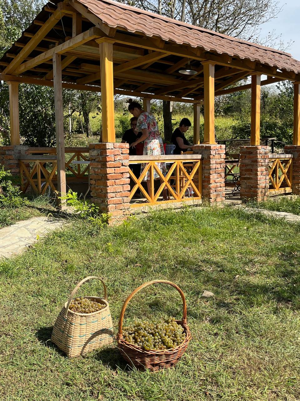 Wine Tour from Kutaisi