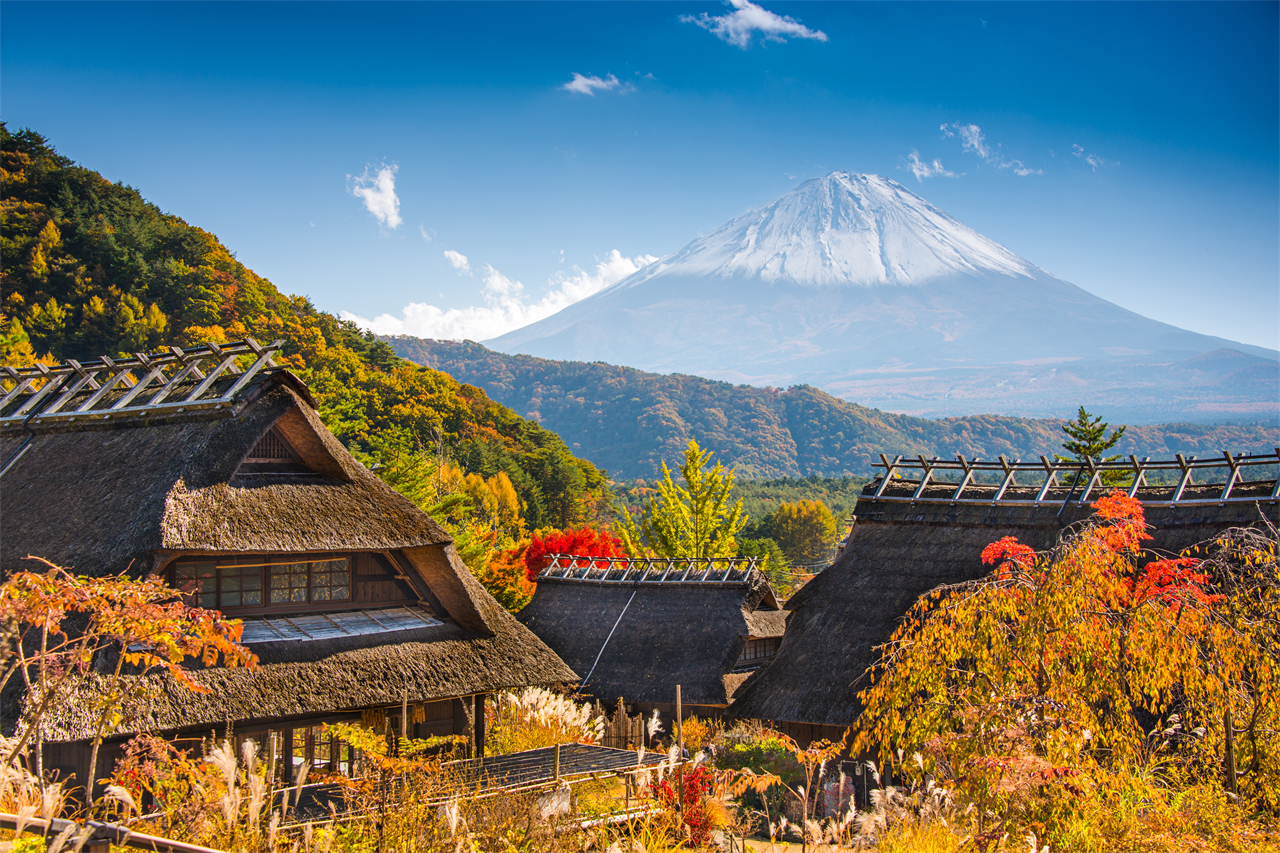 富士山一日遊 網紅打卡景點 | 新倉山淺間公園、西湖療愈之里根場、忍野八海、河口湖大石公園 | 隨機贈送好運信物 （東京出發）