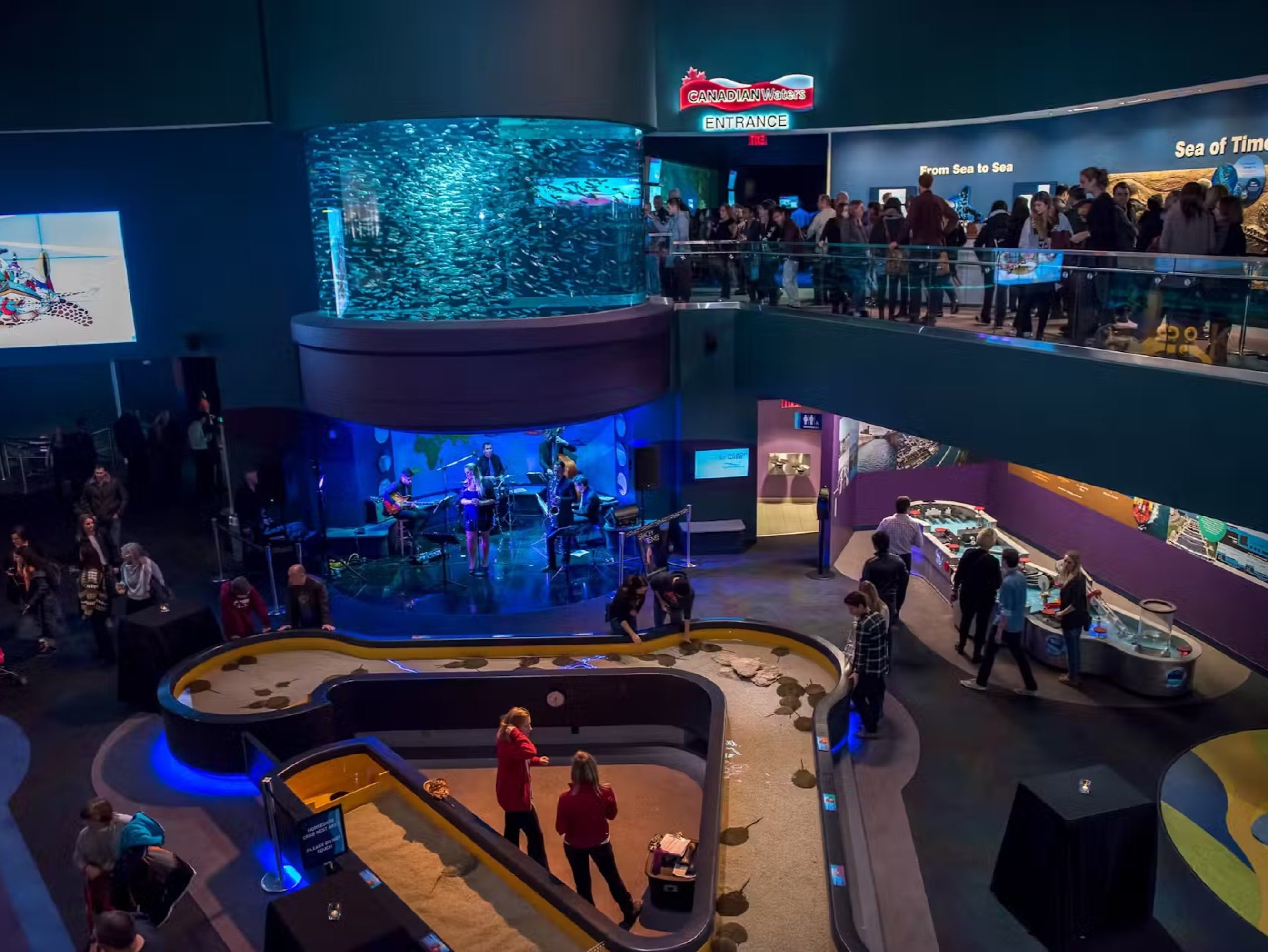 加拿大里普利水族館：夜探鯊魚