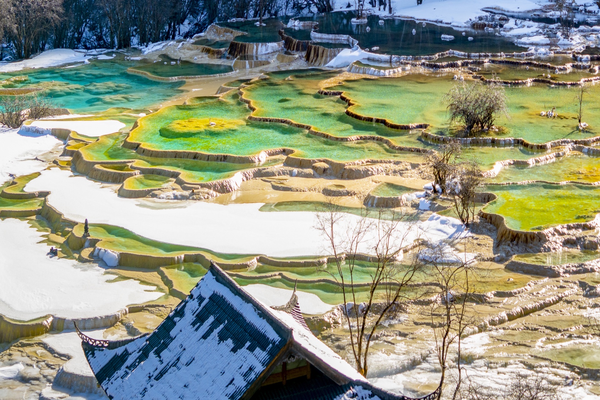 【易遊網獨家】四川九寨溝峨眉全景6天5晚私家團（不朽岷江+一次玩遍四川精華九寨溝+峨眉山+樂山大佛+萌寵熊貓+地道美食一網打盡）
