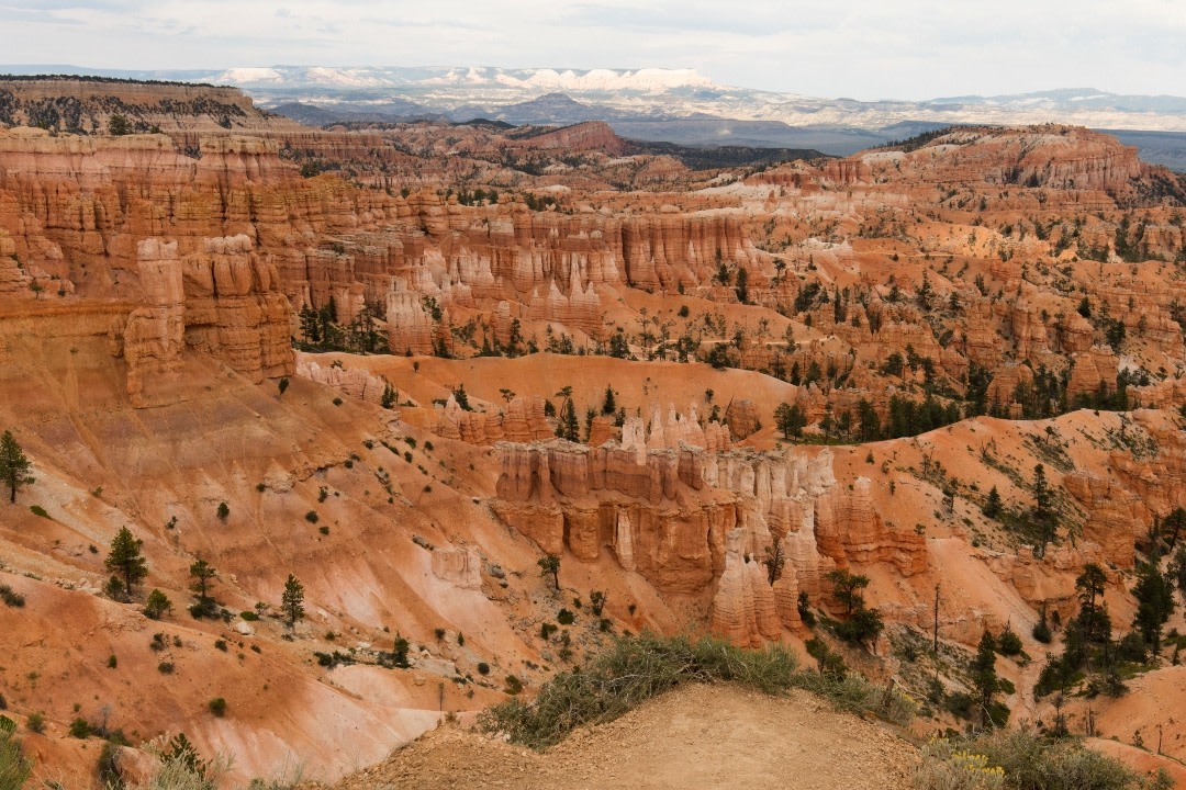 Las Vegas Grand Canyon & Bryce Canyon 3-Day Guided Tour