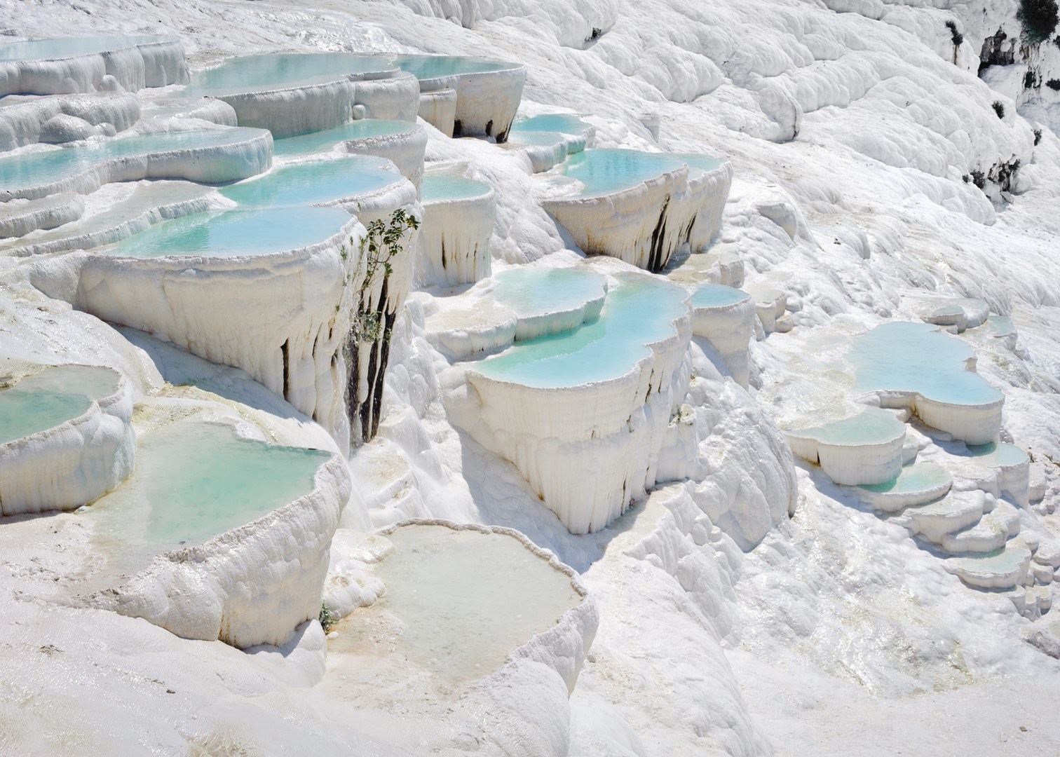 Pamukkale & Hierapolis Day Trip from Antalya with Lunch and Transfer