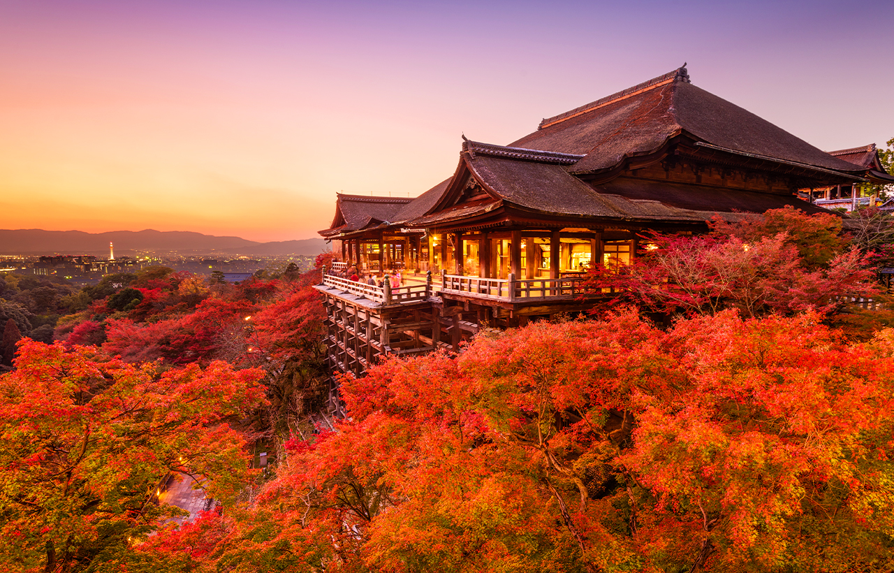 京都+奈良+清水寺區域-和服體驗+八坂神社+伏見稻荷大社+奈良公園-看鹿和楓葉的奈良公園+東大寺