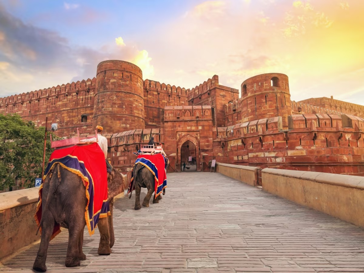 德里 (Delhi) 至阿格拉 (Agra) 當天往返行程