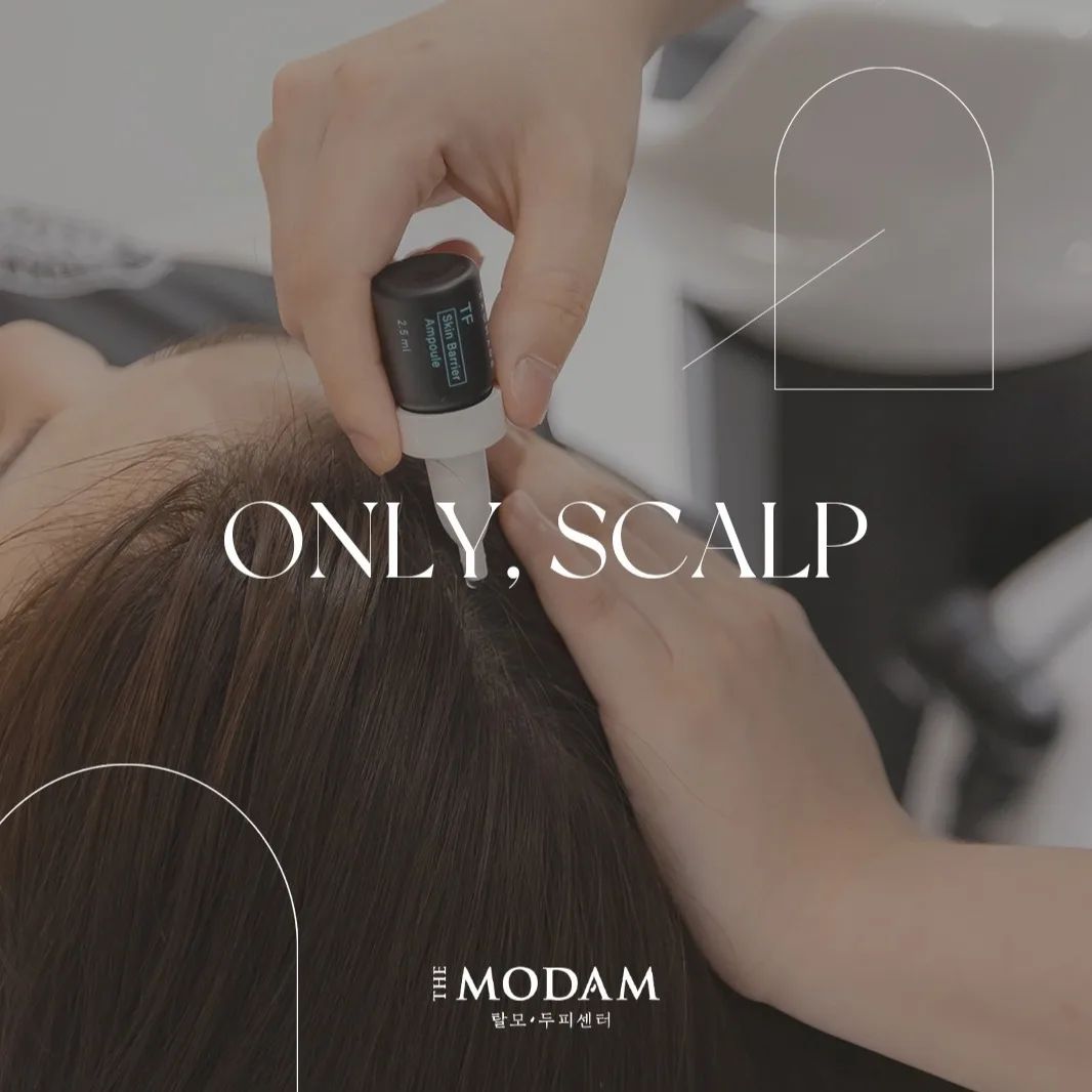 The Modam Scalp & Spa Seoul City Hall Branch