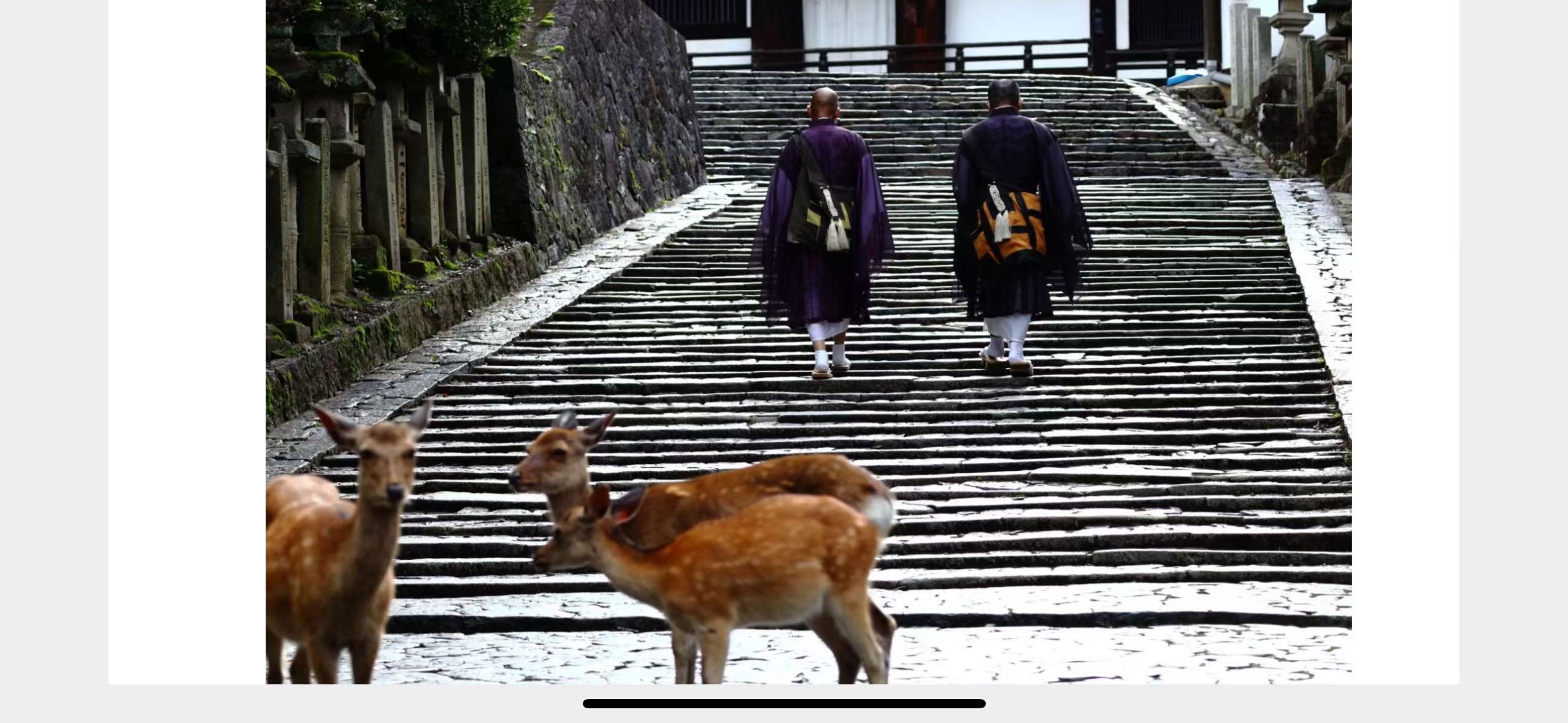2-day Kansai Expo/Osaka, Kyoto, Nara, Uji tour Small group private tour