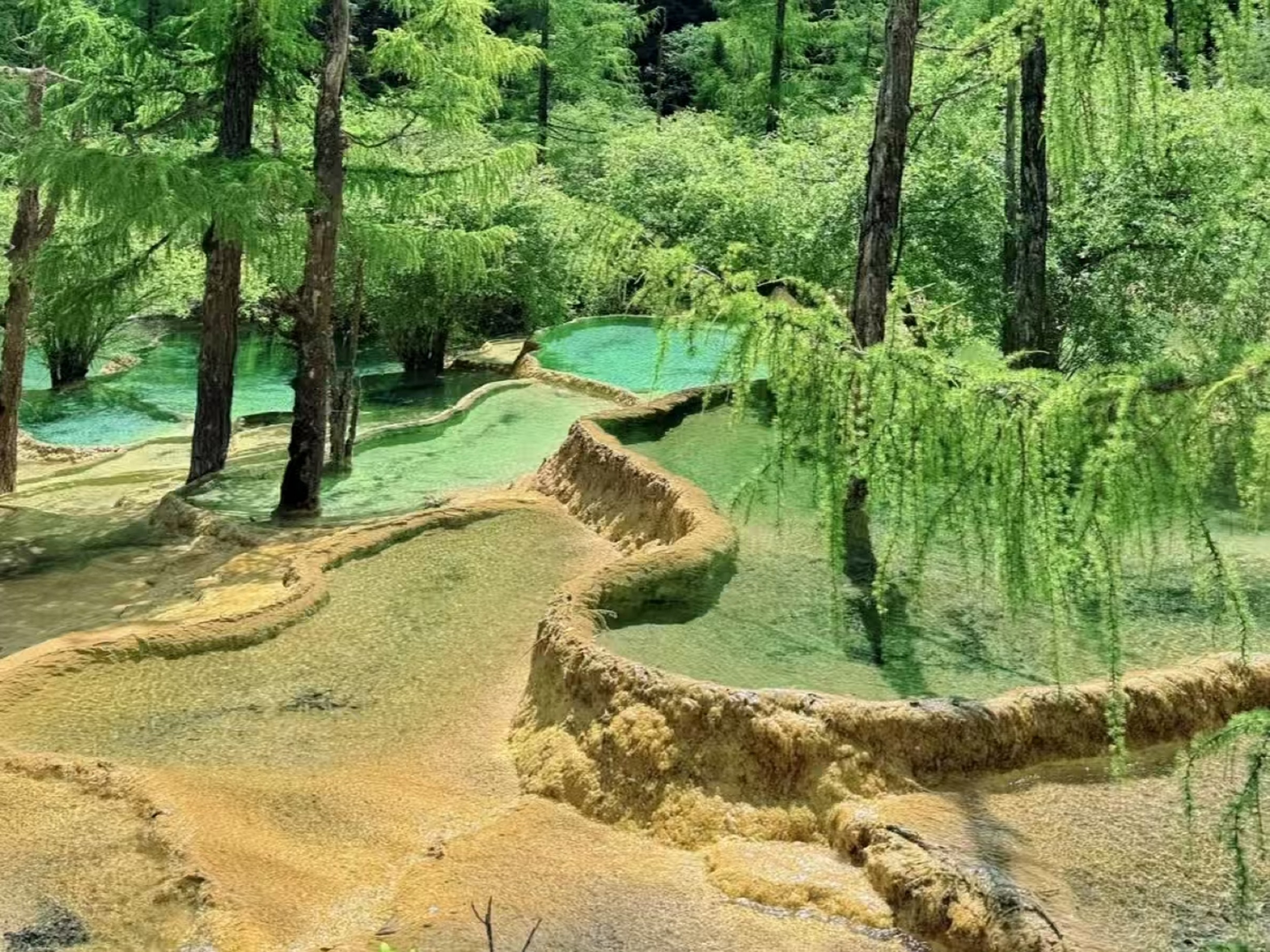 -四川成都九寨溝6天5晚高端半自由行 （成都自由行+九寨溝2日+黃龍+動車體驗+都江堰+三星堆+寬窄巷子+藏式旅拍+雪域犛牛宴）