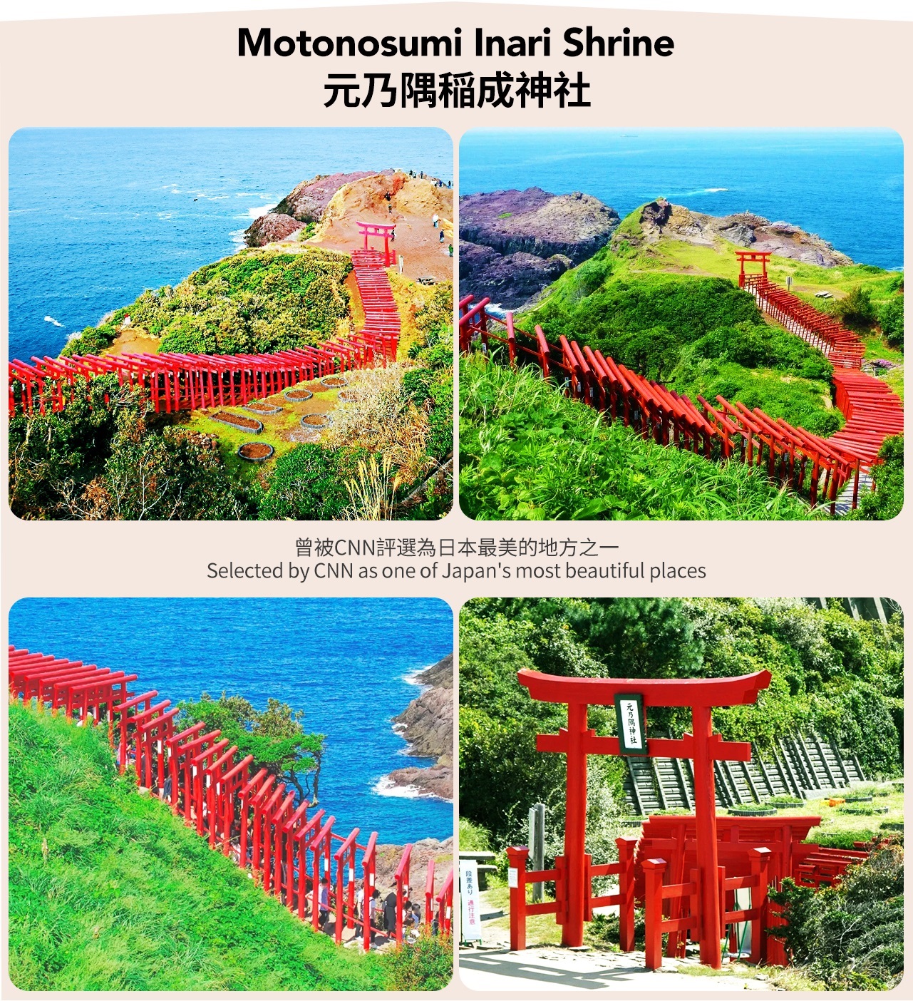 北九州: 門司港＆唐戸市場&角島大橋&元乃隅稲成神社&龍宮潮吹&和布刈PA一日遊 （福岡出發）