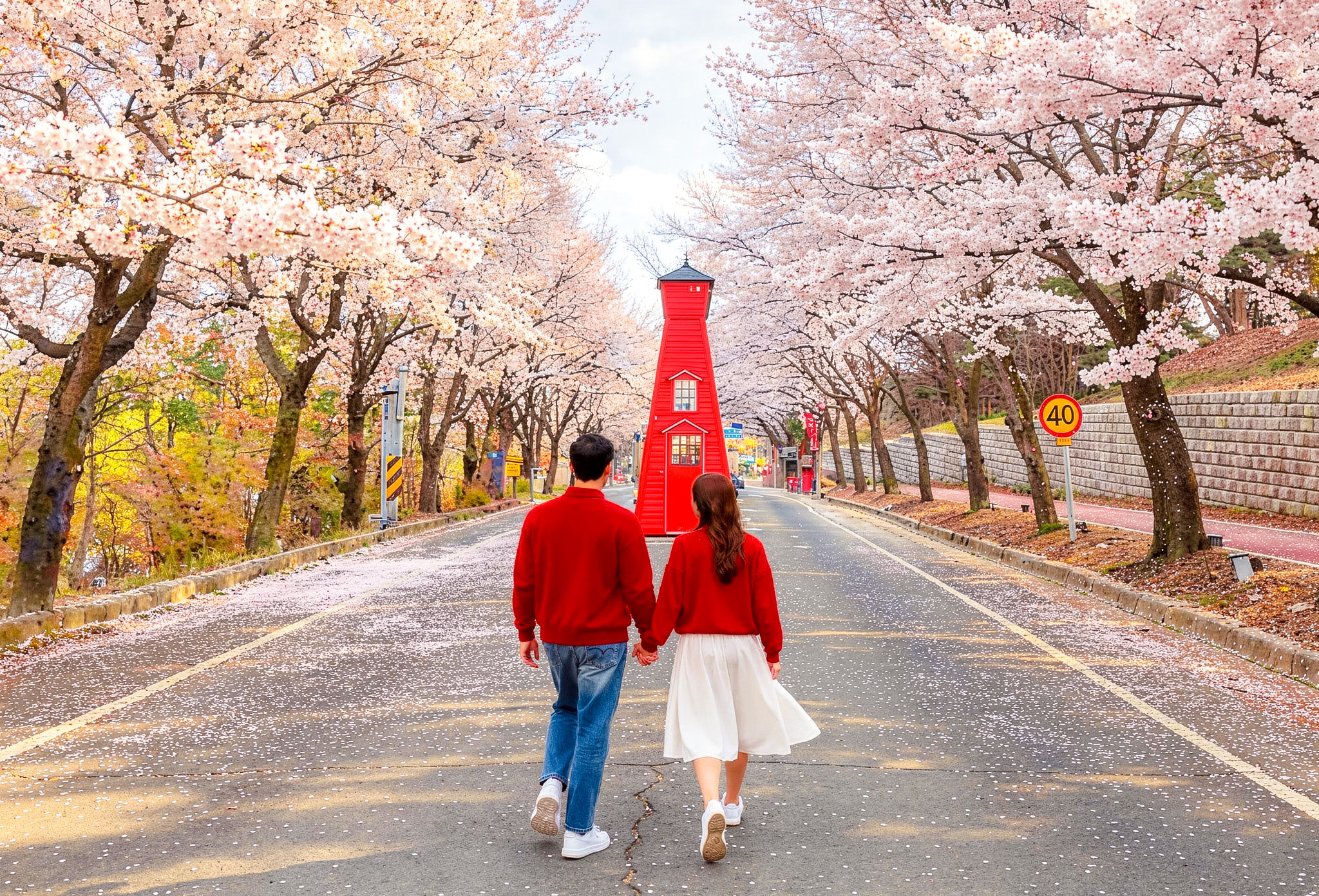 Bangye-ri Ginkgo Tree Day Tour from Seoul : Wonju & Cable Car