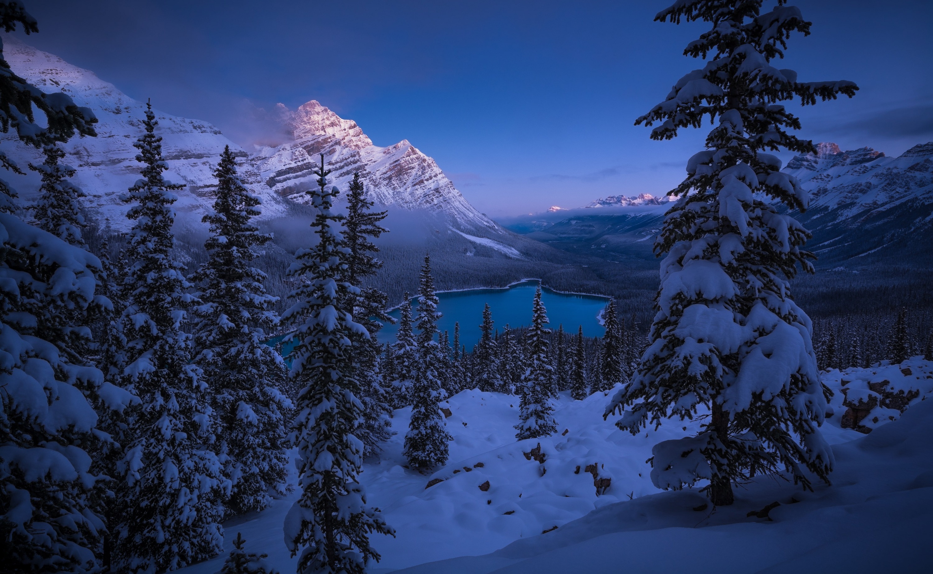 佩託湖和亞伯拉罕湖冰泡之旅 (Peyto Lake & Ice Bubbles at Abraham Lake Frozen Journey)