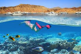 Ras Mohamed & White Island Experience from Sharm El Sheikh