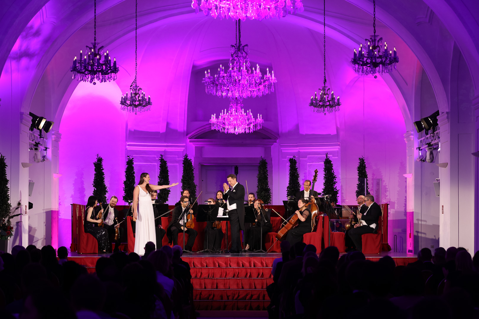 Dinner and Concert Experience at Schonbrunn 