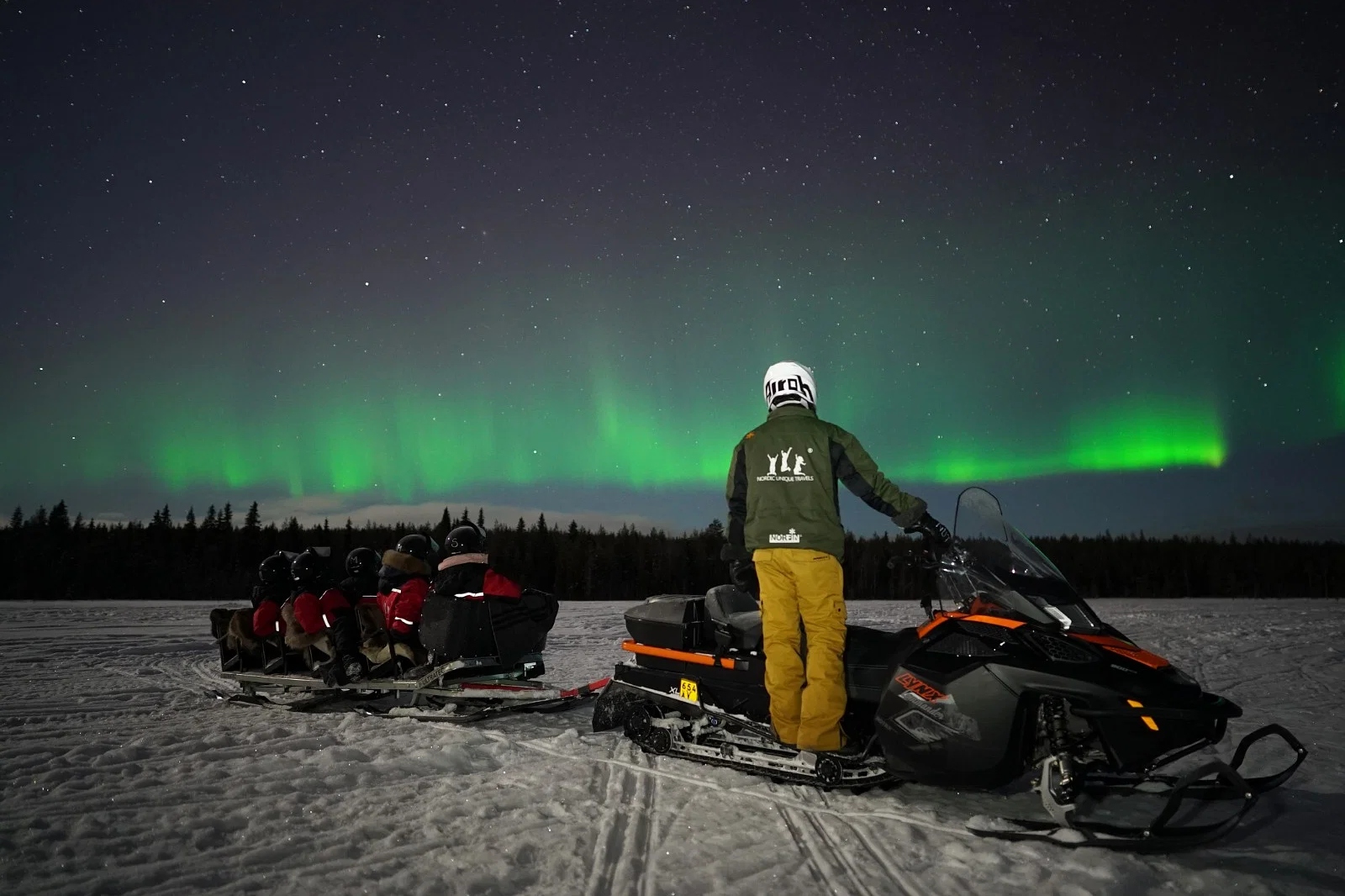 Northern Lights with Sleigh Ride Experience in Lapland