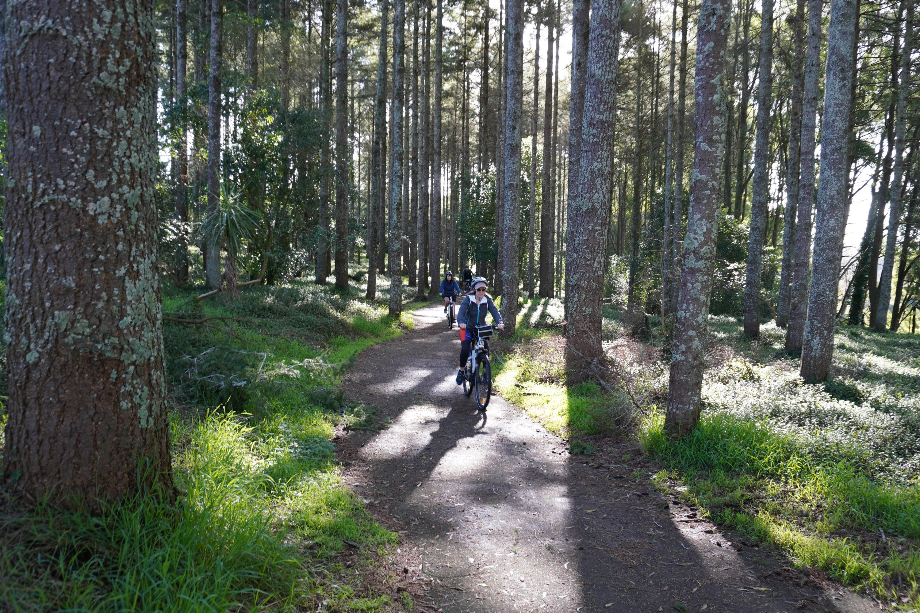 Te Awa Waikato Explorer 9-Hour Tour from Auckland