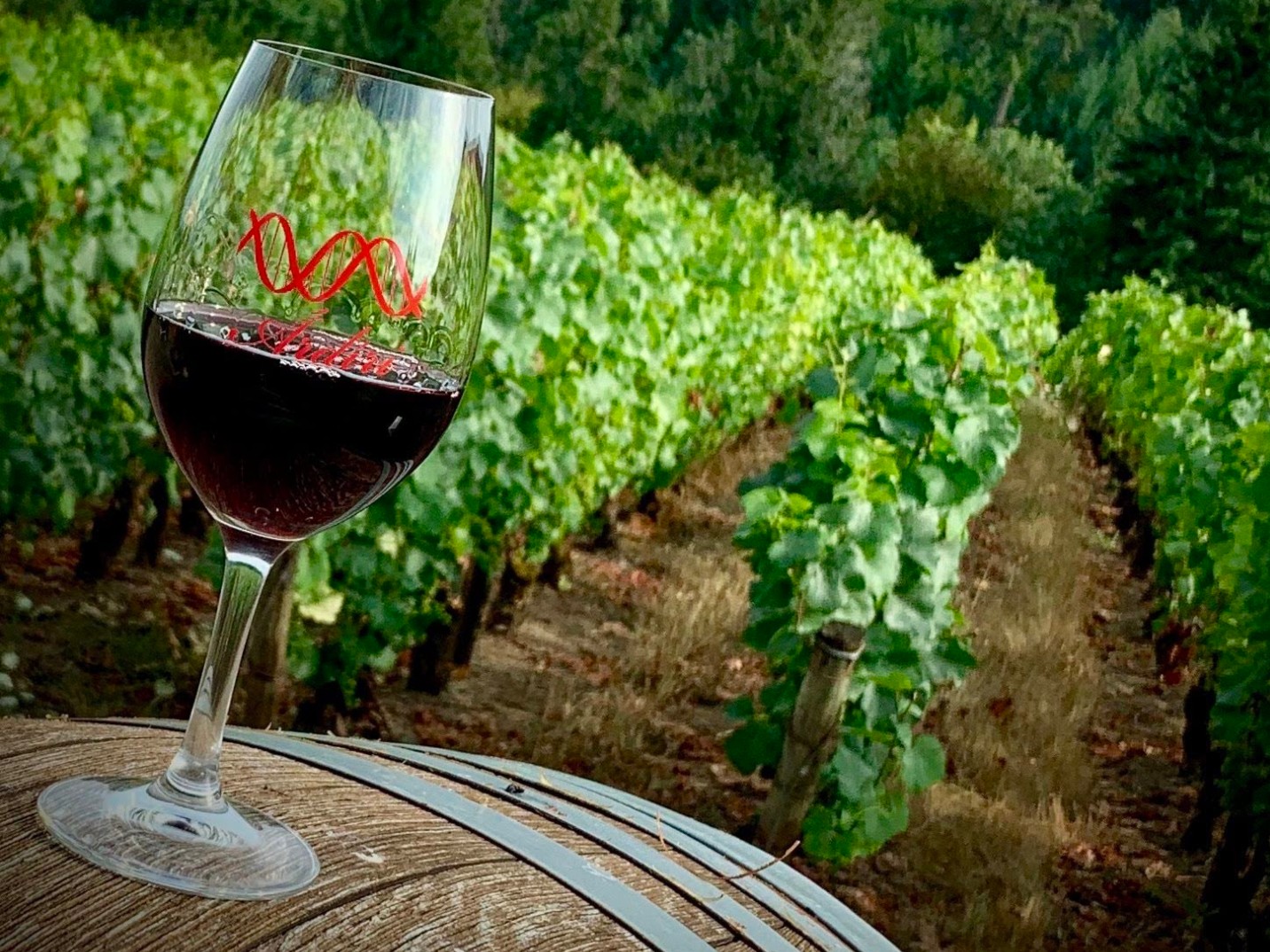 Willamette Valley Wine Tasting Tour from Portland