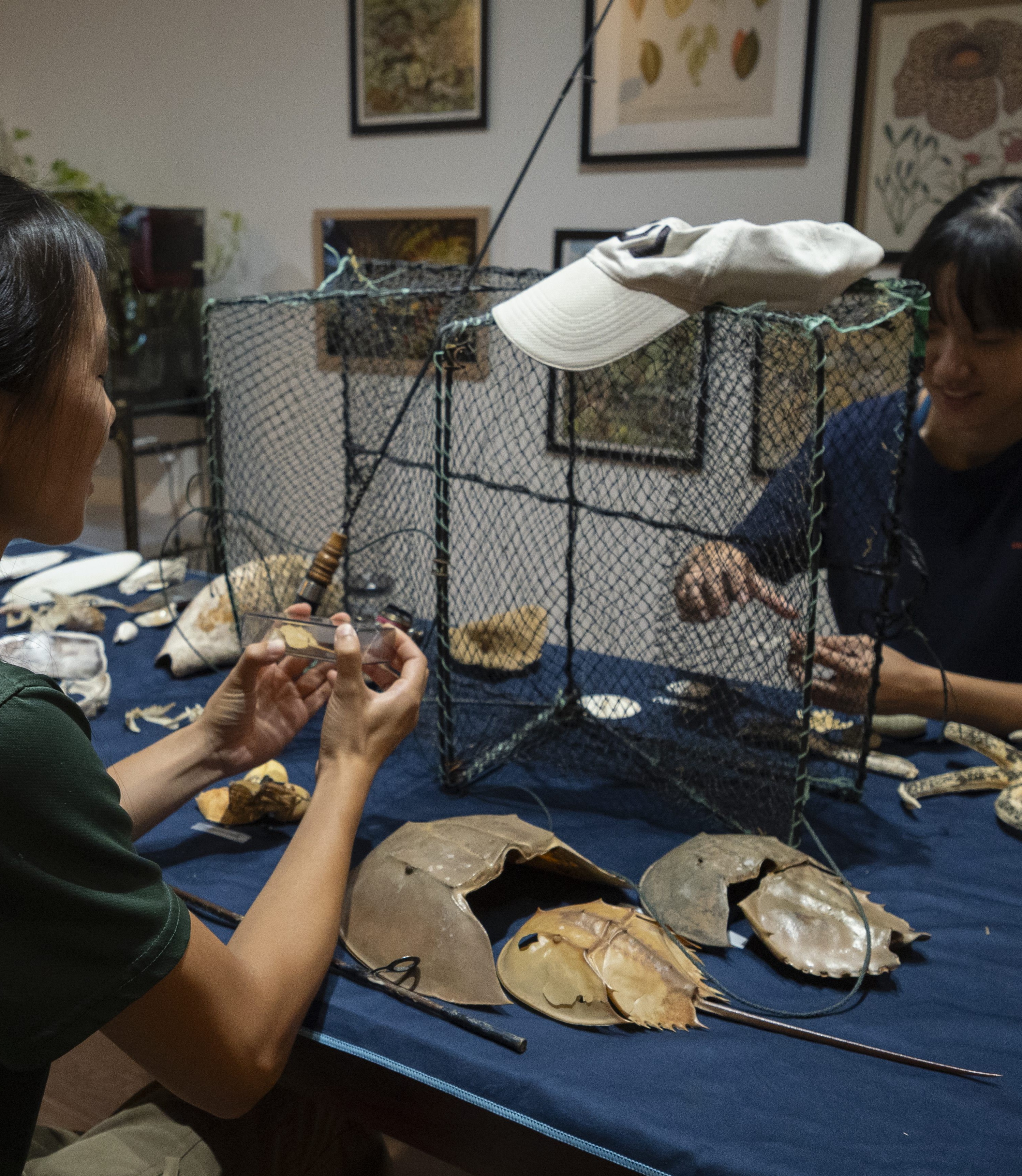 Stories from the Shore: Artefacts of Singapore’s Coastal Past