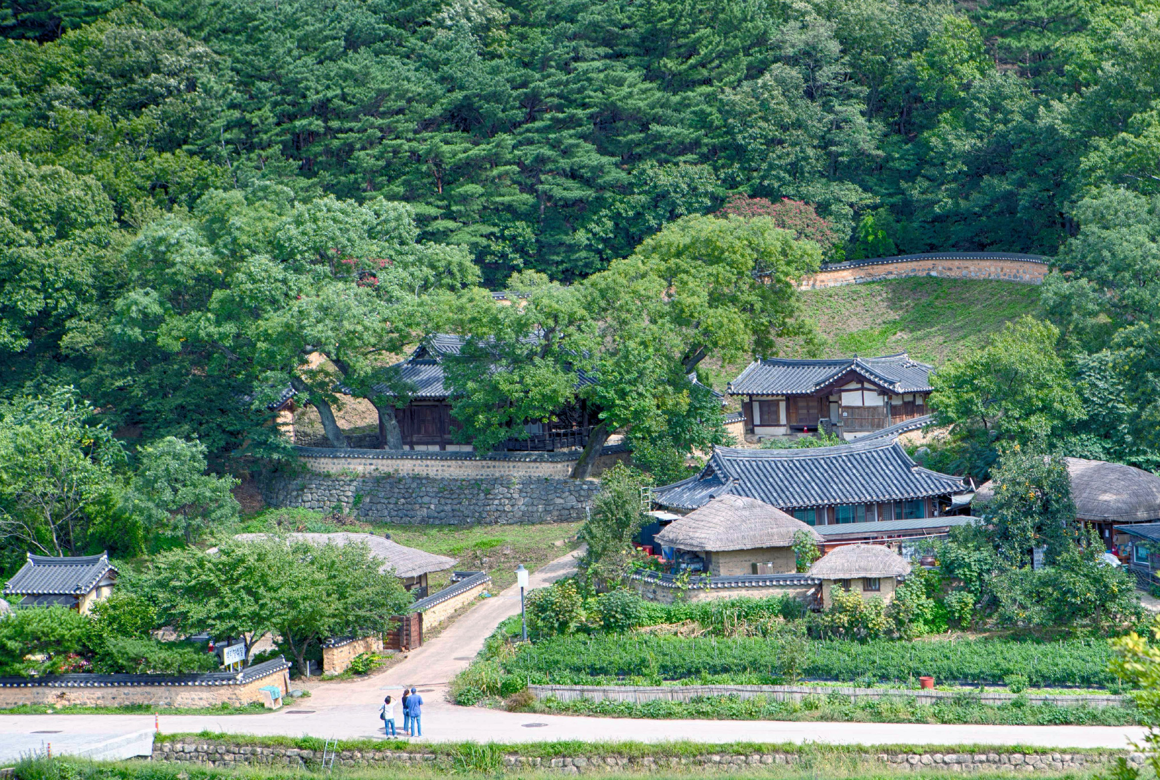 釜山 & 慶州一日遊（釜山出發）