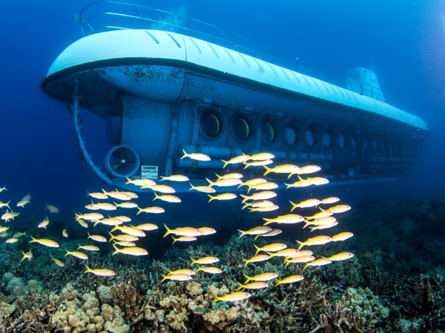 Discover the Ocean Depths on Atlantis Submarine Kona Experience
