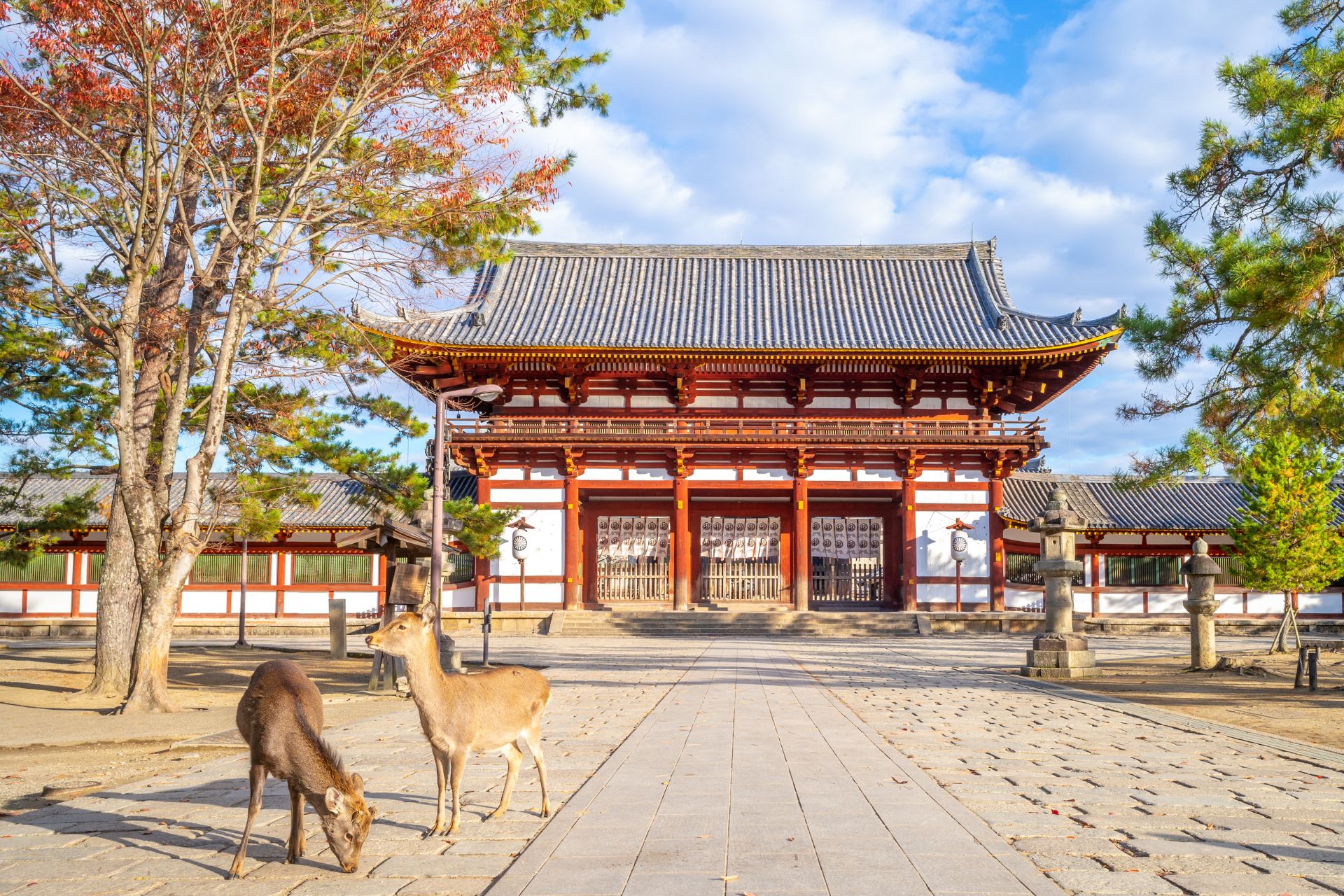 勝尾寺 x 箕面瀑布 x 嵐山竹林 x 東大寺&奈良公園