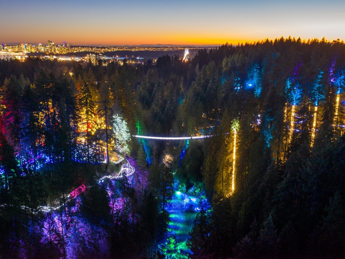 當整個森林都為聖誕節盛裝打扮時