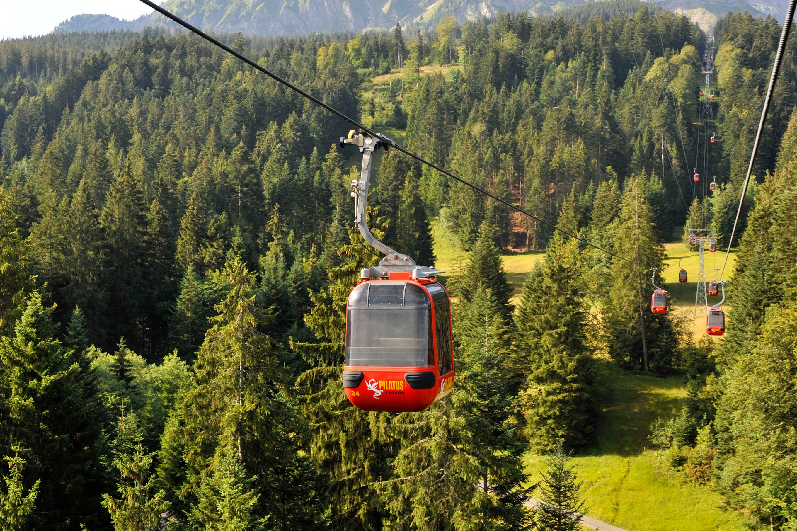 red cable car in the woods