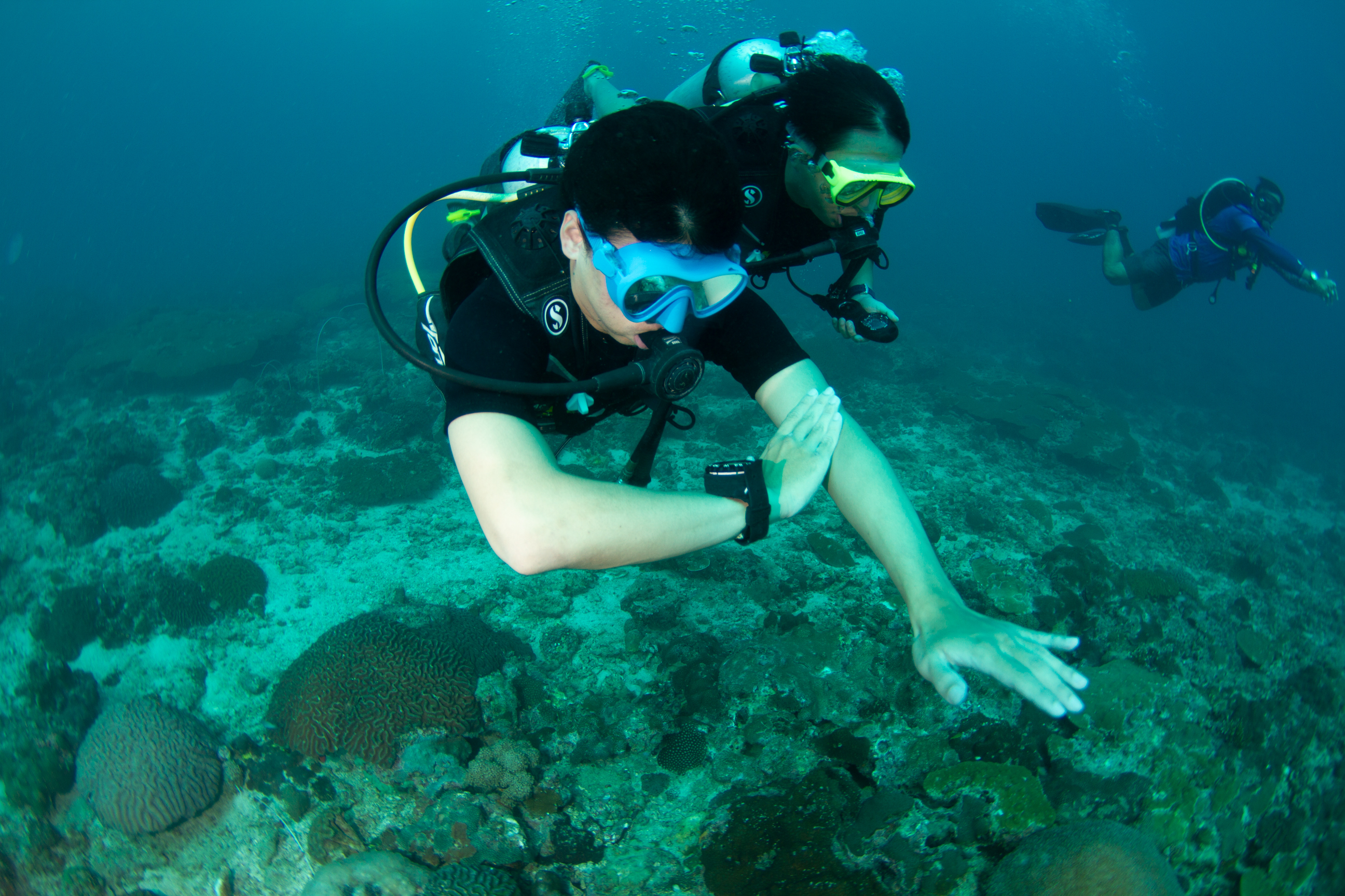 皮皮島PADI進階潛水員體驗