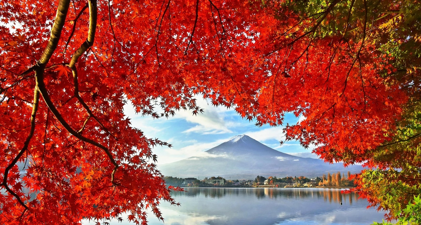 【穆斯林友好|富士山一日遊】新倉山淺間公園+富士天梯小鎮+穆斯林午餐+河口湖+網紅羅森便利店（東京出發）