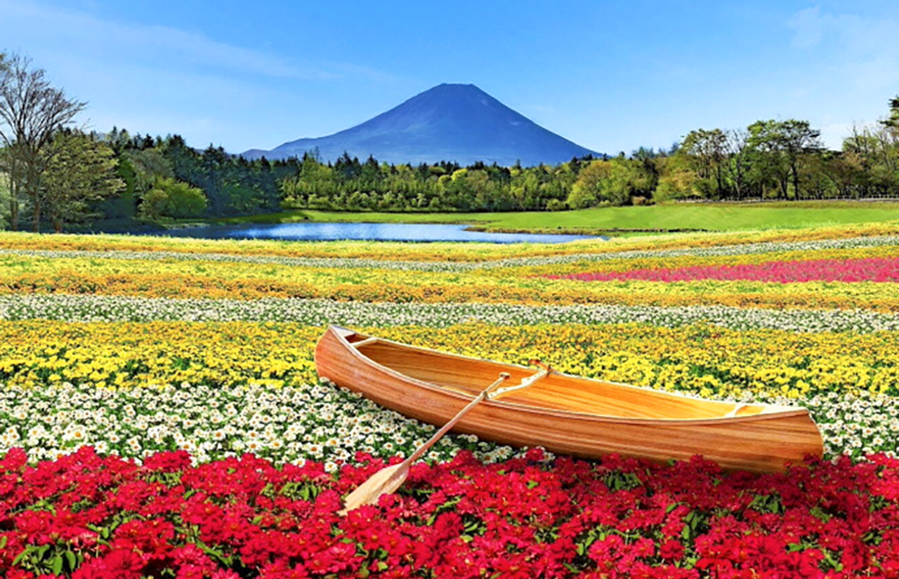 每年夏季秋季限定登場的 本棲湖彩虹花祭，是在富士山腳下展開的夢幻花海盛典。
大片花田以多種色彩花卉交錯鋪陳，如彩虹般延伸至湖畔，與遠方的富士山形成絕美畫面，是秋季最受歡迎的拍照景點之一。