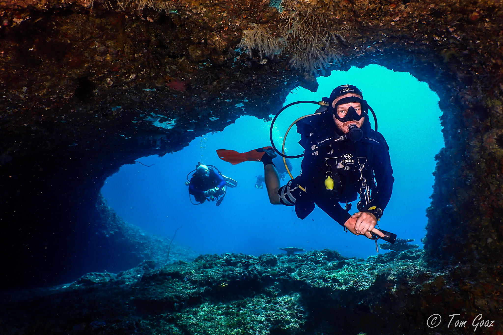 愛妮島最佳潛水點探索體驗（ 含PADI五星級潛水中心）