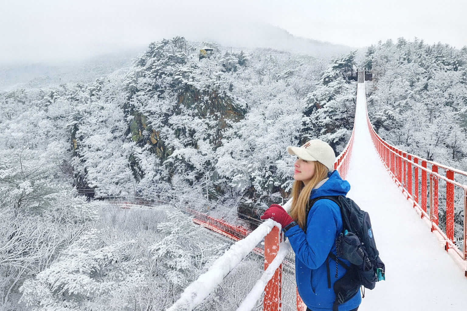 DMZ 3rd Invasion Tunnel and Suspension Bridge One Day Tour from Seoul