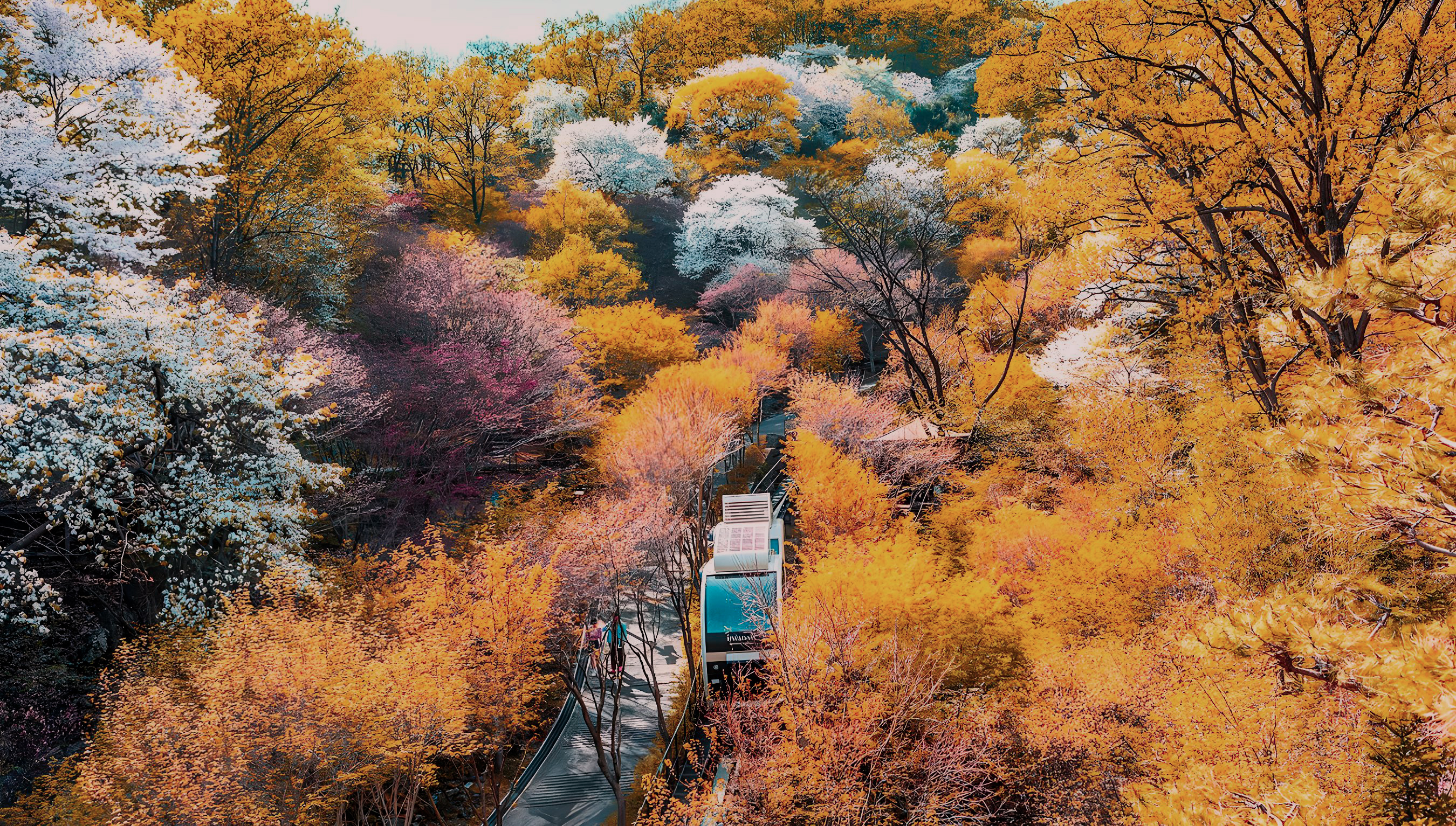 Hwadam Botanic Garden & Namhansanseong & Folk Village Day Trip