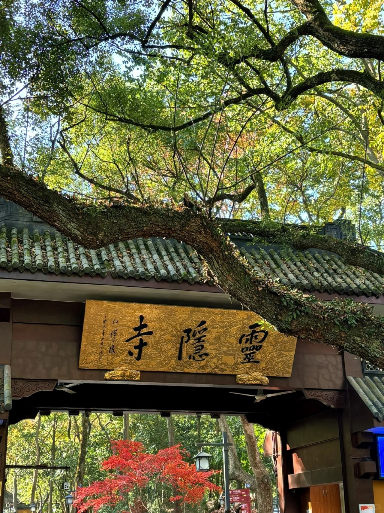 上海出發蘇州+杭州+烏鎮4日遊（上海集合&上海/杭州解散+拙政園+西湖+魔都夜景+夜遊烏鎮提燈+全程五鑽酒店+江南特色宴）