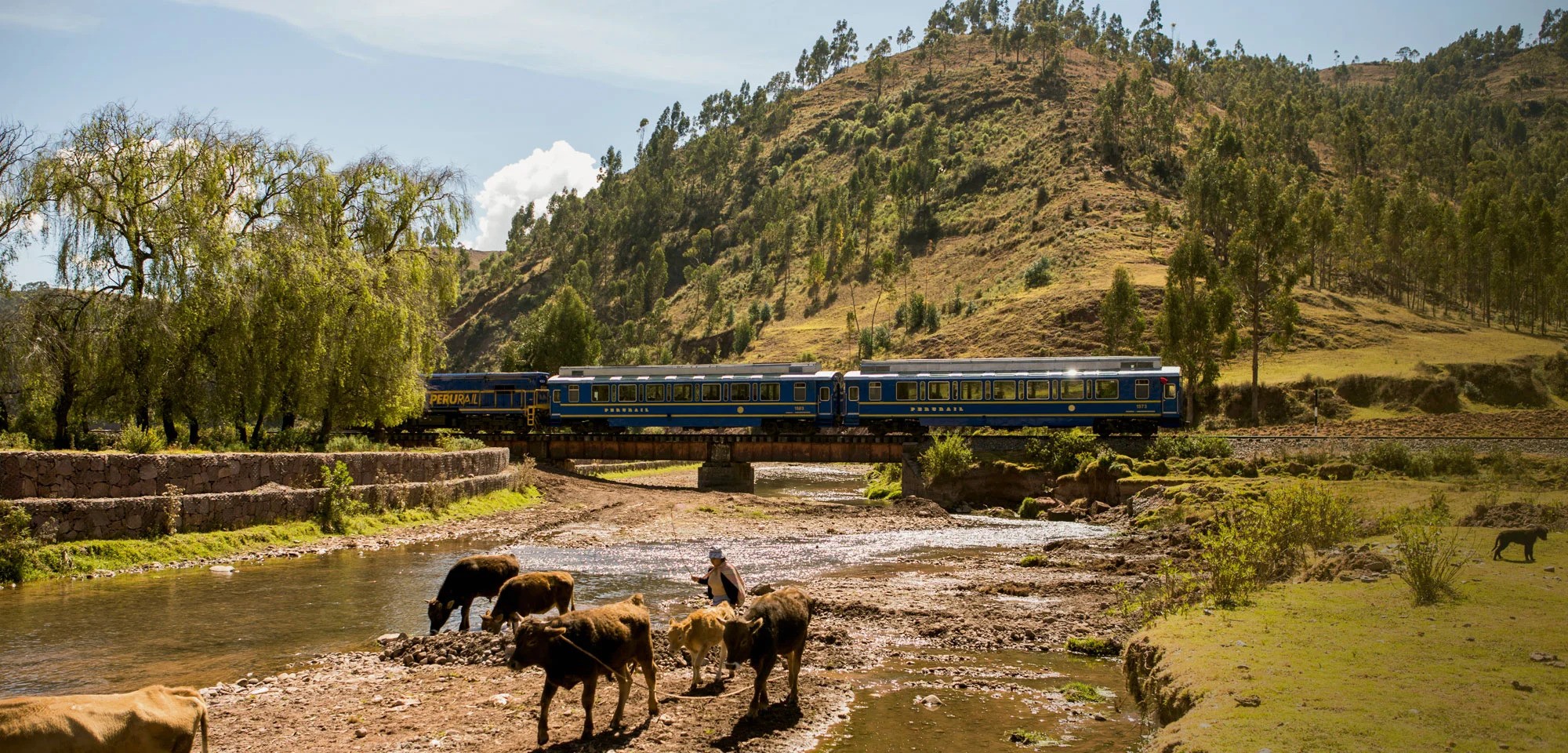 From Cusco: Full-Day Machu Picchu Tour by Panoramic Vistadome Train
