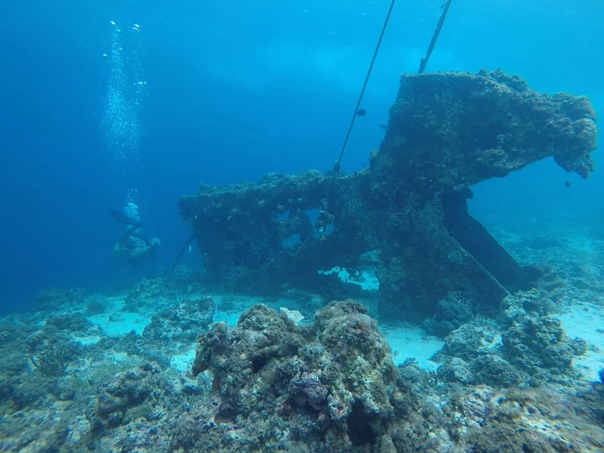 麥克坦島 PADI 五星潛水中心進階潛水員課程
