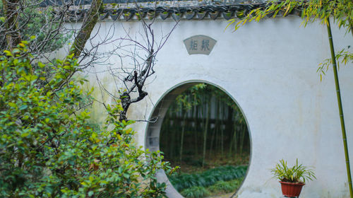 滄浪亭
