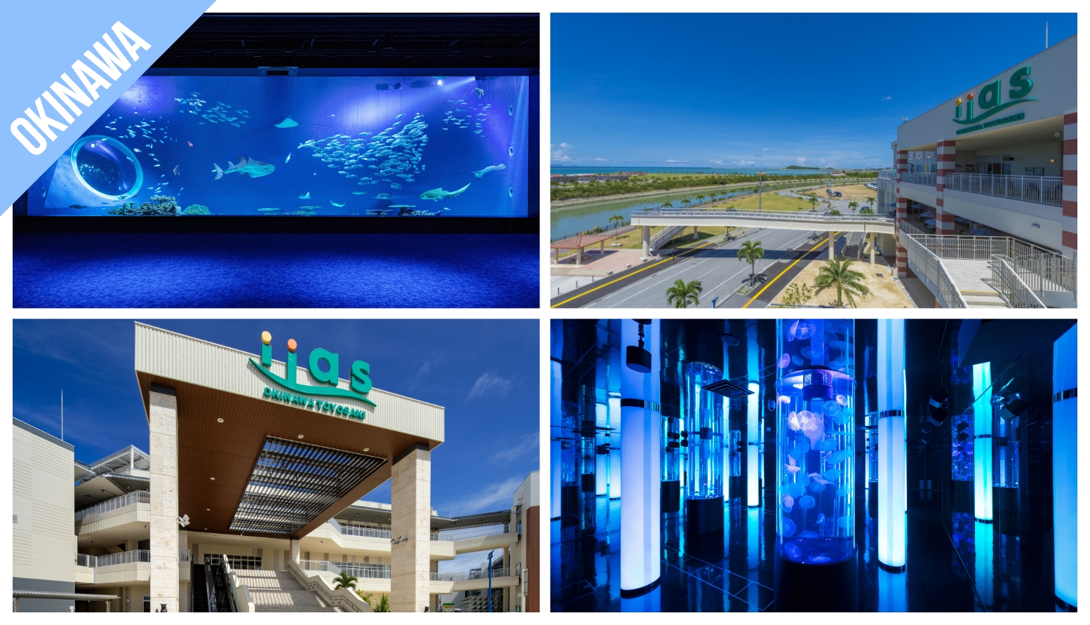 [DMM Kariyushi Aquarium, Okinawa] Experience a stunning fusion of technology and marine life!