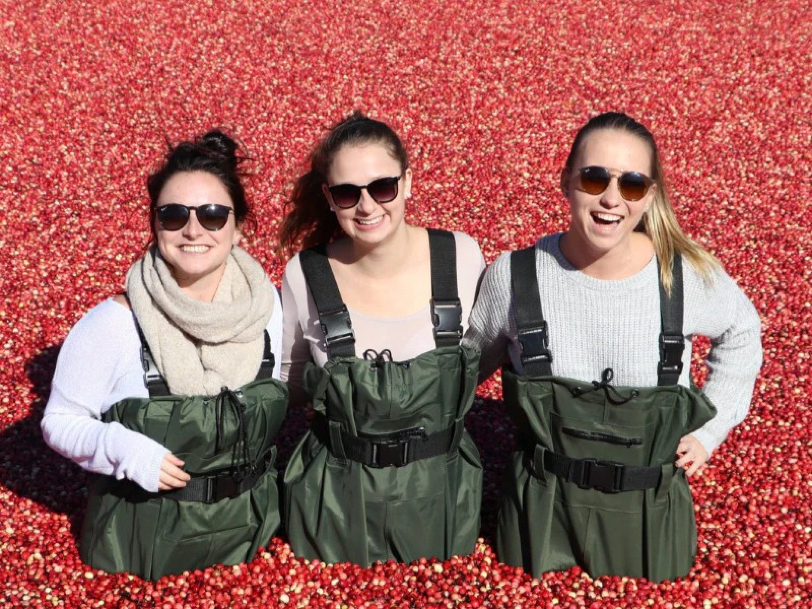 Cranberry Plunge and Hardy Lake Day Tour from Toronto