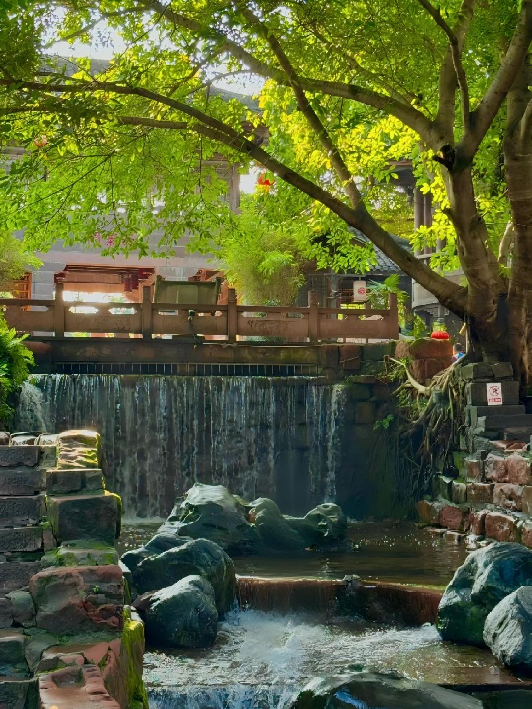 黃龍溪古鎮的青石板路兩旁，冬日暖陽透過疏枝灑下斑駁光影。千年古街裹著靜謐韻味，老建築映著澄澈天光，漫步其間，盡覽古鎮獨有的冬日清寧與歲月沉澱的厚重感。