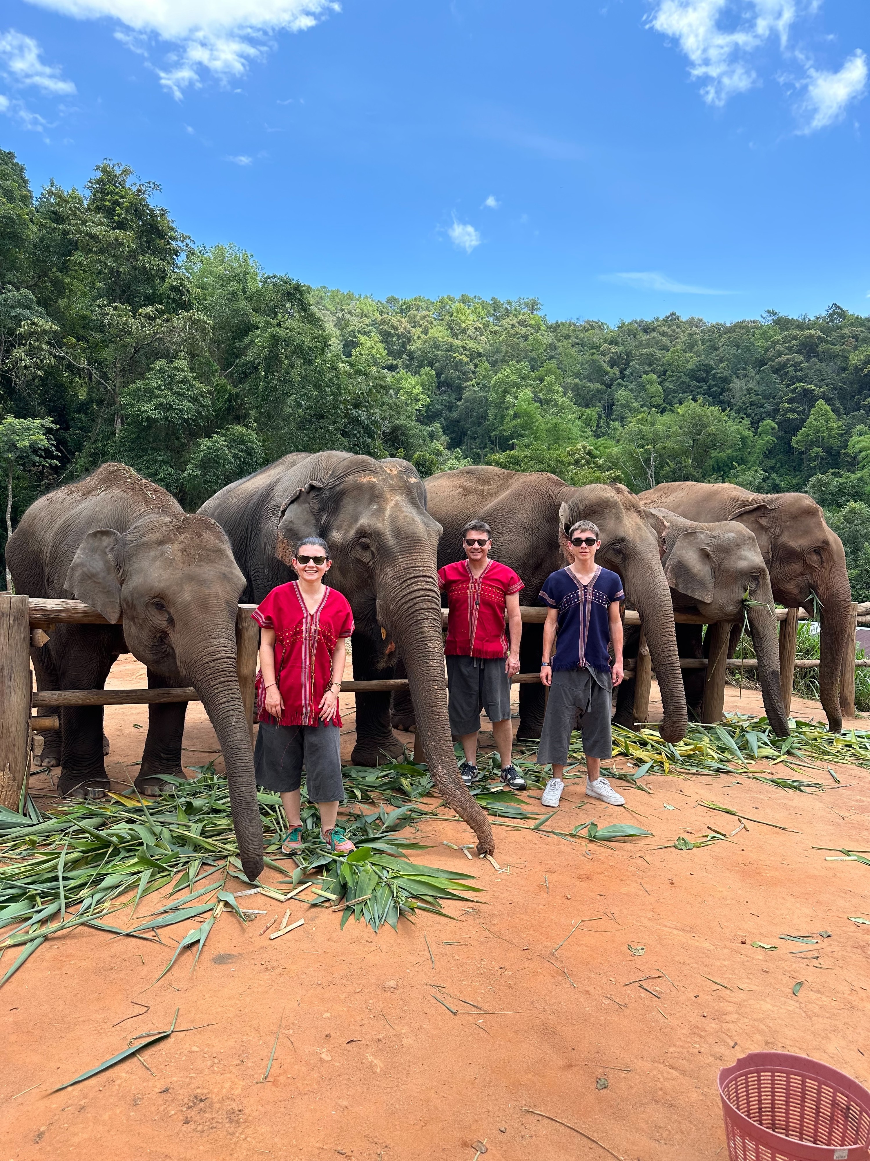 Chiang Mai Elephant Land  Eco-Friendly Tour