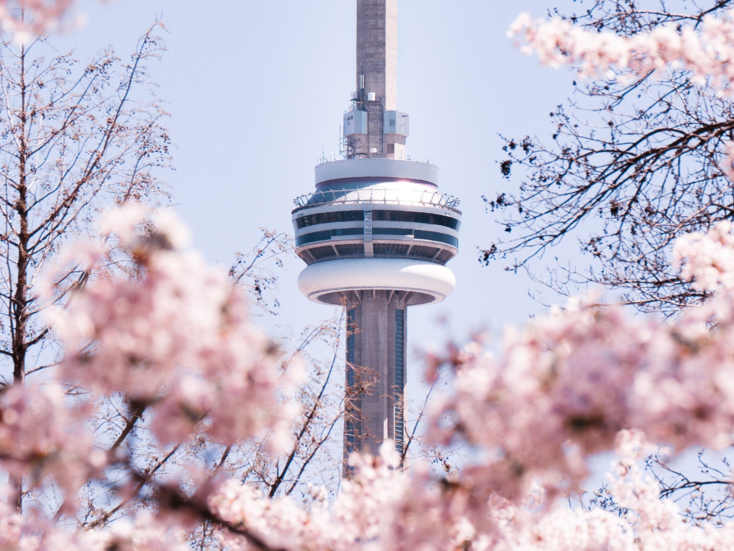 在導覽解說的車程中,盡情欣賞多倫多的熱門地標,包括皇后公園 在導覽解說的車程中,盡情欣賞多倫多的熱門地標,包括皇后公園